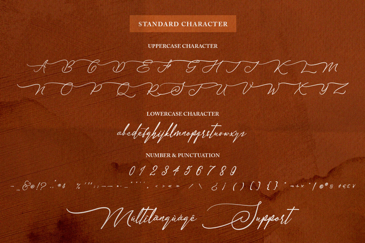 Sandrina- Elegant Script Font preview 7