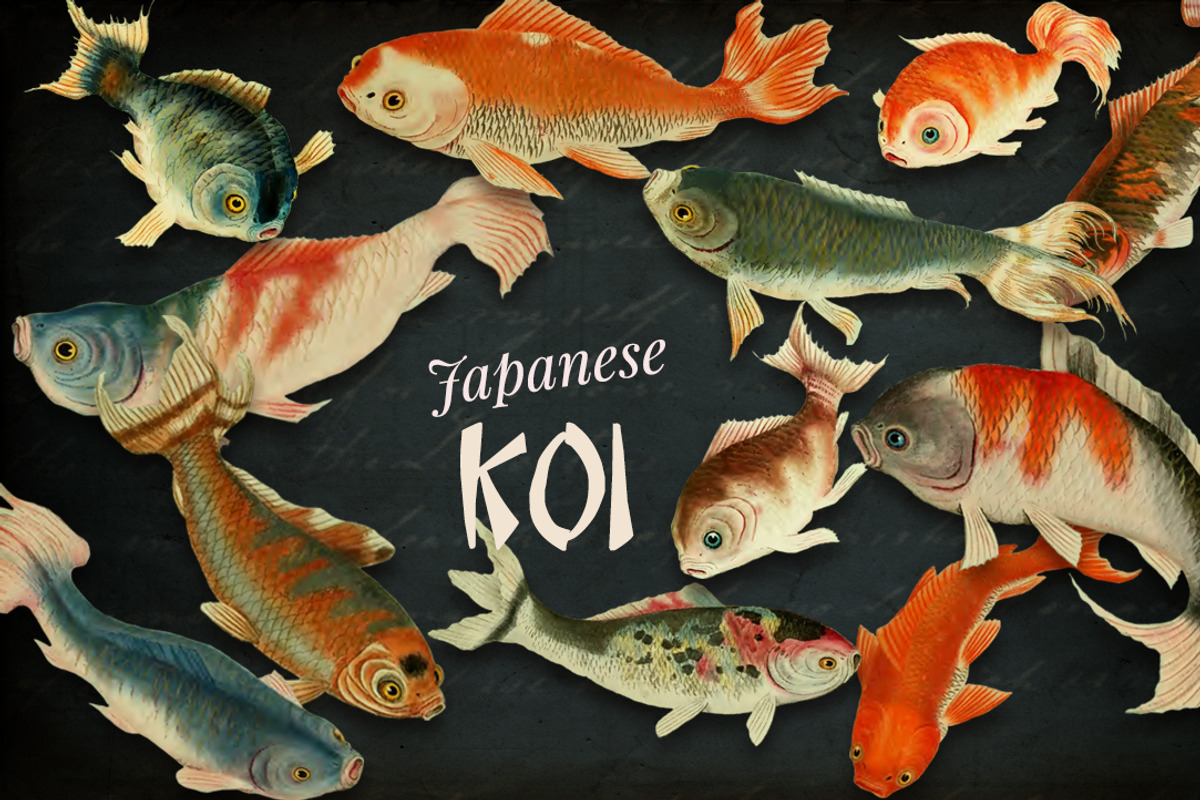 Japanese Koi Images, a Graphic by Digital Vintage (Photo 1 of 7)