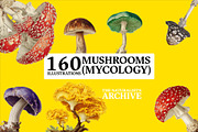 The Naturalist's Archive, an Object Graphic by Jacober Design (Thumbnail 5 of 5)
