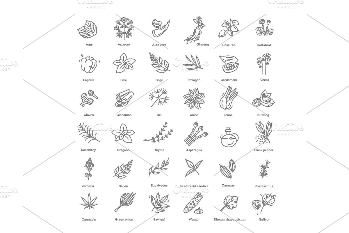 Condiment and herbs icons set, a Food Illustration by Tettygreen