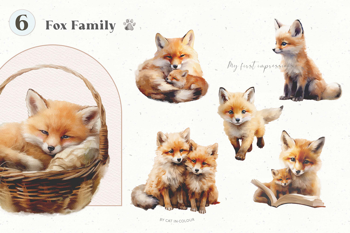 Baby First Year Watercolor Set, an Animal Illustration by Cat In Colour (Photo 3 of 10)