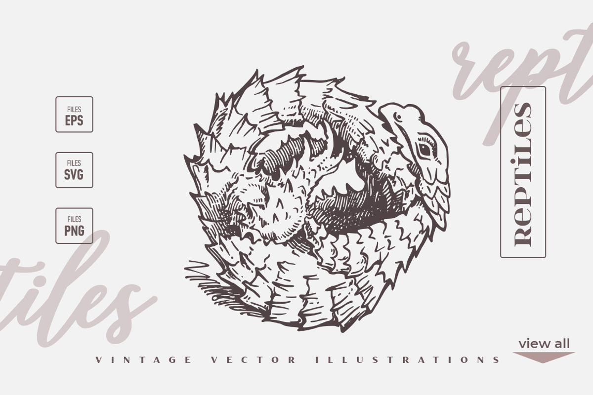 Reptiles Vintage, an Illustration by Retro Machine (Photo 5 of 7)