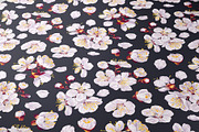Apricot Branches Big Floral Set, an Illustration by MarynaPetrovska (Thumbnail 10 of 23)