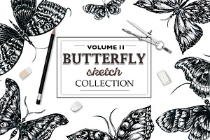 Butterfly Sketch Collection