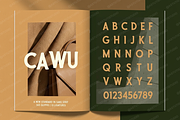 Cawu - Elegant Minimalist Serif, a Serif Font by Astuti Studio (Thumbnail 6 of 25)