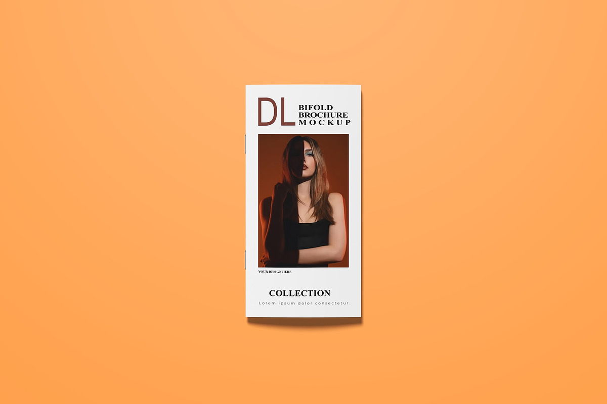 DL Brochure Mockup, a Books & Magazine Mockup by Lxadesign (Photo 3 of 12)