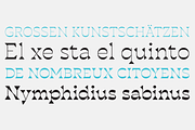 Blackest - 8 fonts, a Serif Font by Zetafonts (Thumbnail 4 of 14)