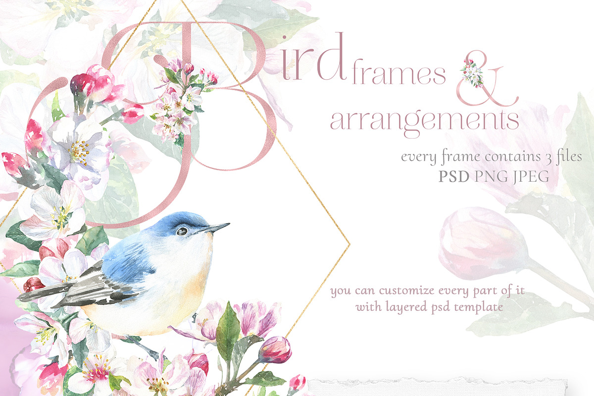 Watercolor Spring Birds Robin, an Illustration by Catherine Wheel (Photo 9 of 11)