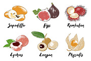 Set of 44 organic food sketches, a Food Illustration by Akimo Mia (Thumbnail 4 of 9)