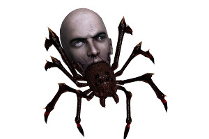 3DFoin - Terror Spider