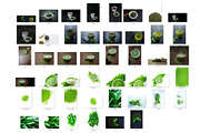 Green tea and Matcha tea, an Object Graphic by Pullia (Thumbnail 12 of 12)