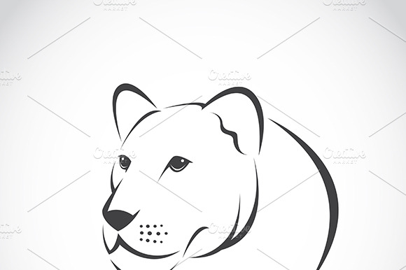 Vector Image Of An Female Lion Head