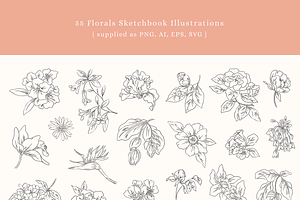 Floral Sketchbook Vectors