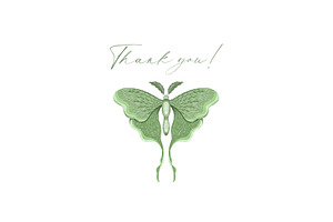 Luna Moth Clipart & Pattern