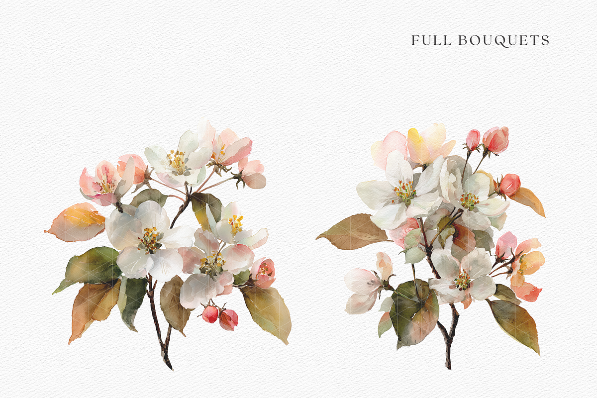 Watercolor Apple Blossom Bouquet, a Decorative Illustration by ThaismotaCreativeCo (Photo 8 of 11)
