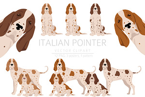 Italian Pointer Clipart