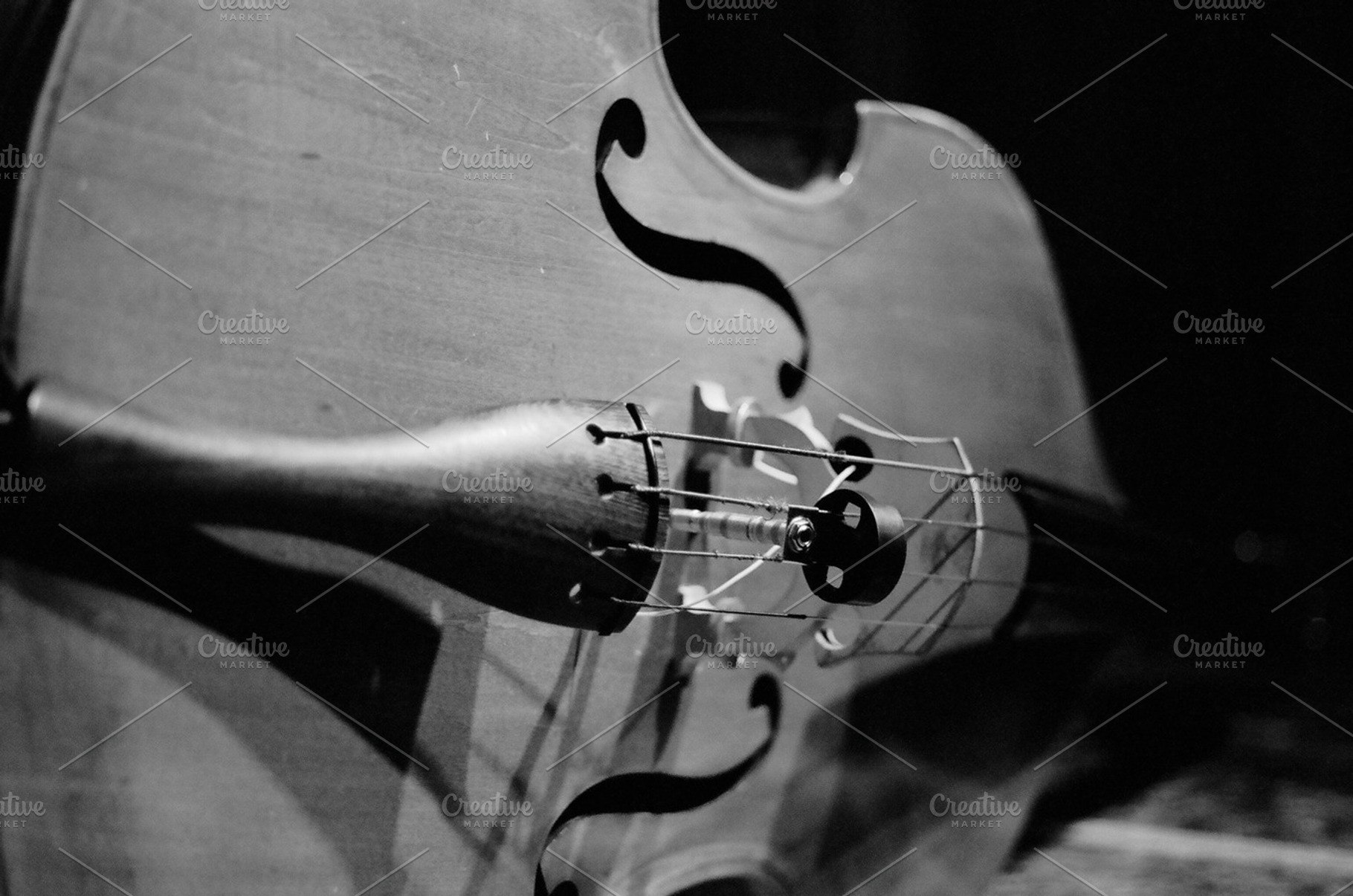Double Bass in Black & White, an Arts & Entertainment Photo by David Krug Photography