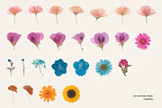242 Vintage Dried Flowers, an Object Graphic by Ksuview (Thumbnail 5 of 11)