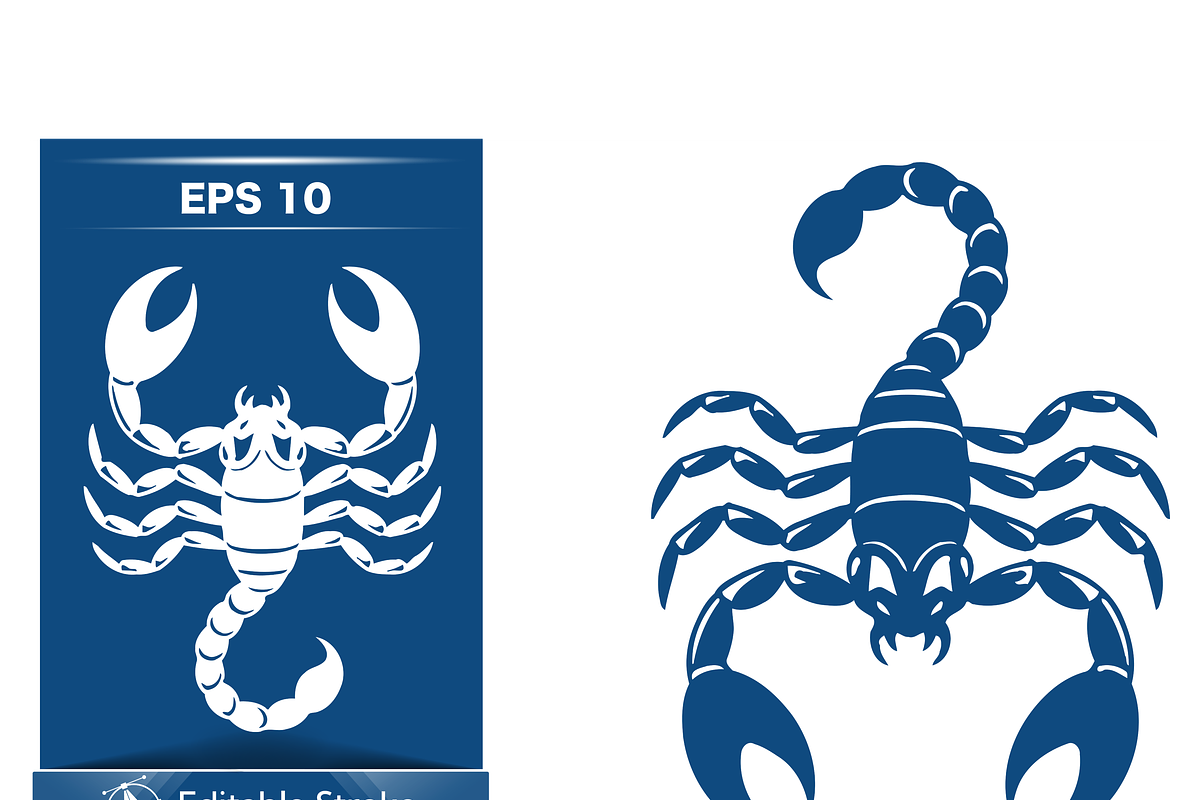 Stylized Scorpion Vector Art, an Object Illustration by CarWrap design (Photo 1 of 3)