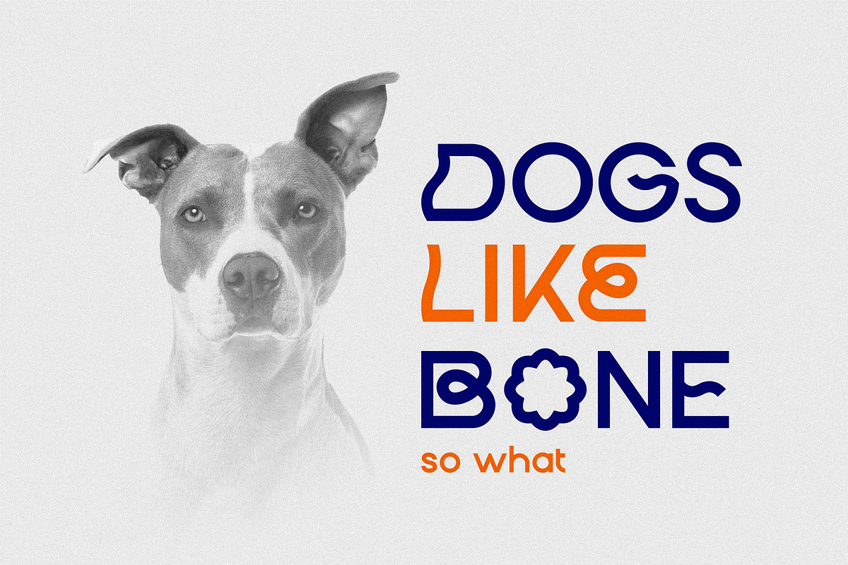 Bageo, a Sans Serif Font by 160 Studio (Photo 11 of 13)