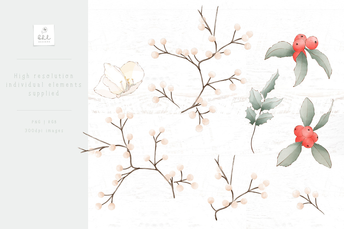 Red Cardinal Christmas - Mint, a Pattern Graphic by bhldesigns (Photo 12 of 16)