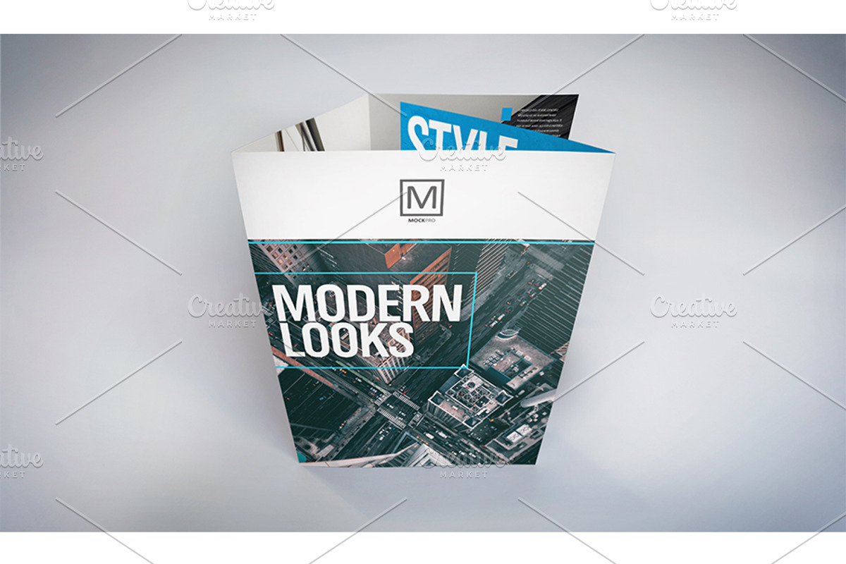 Gatefold Brochure Mockups, a Print Template by Shop Mockpro (Photo 3 of 14)