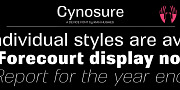 Cynosure, a Sans Serif Font by Device (Thumbnail 1 of 8)
