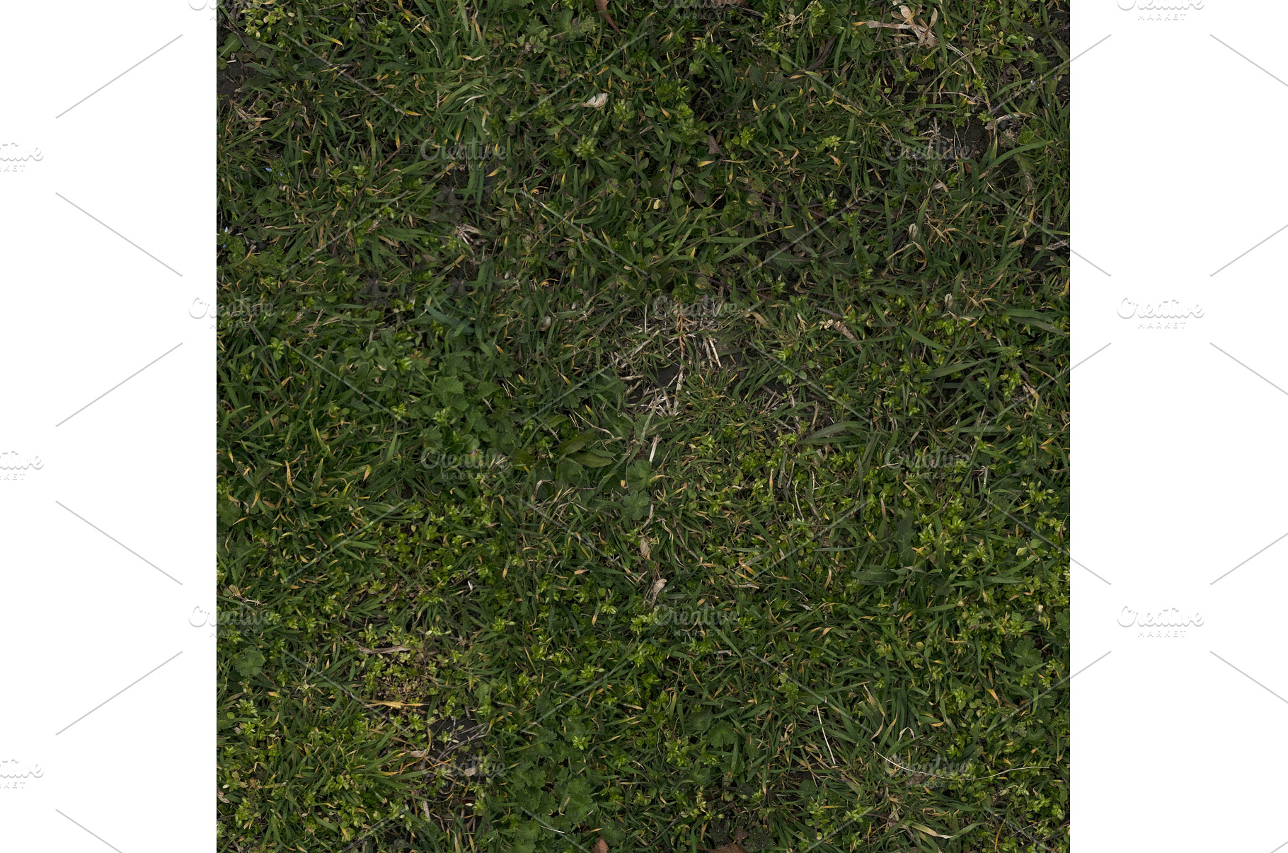Seamless grassy forest ground, an Abstract Photo by Vdr0id