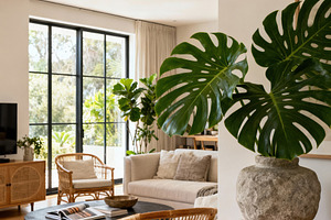 Urban Jungle Interior Living Room, an Architecture Photo by Virgo Studio
