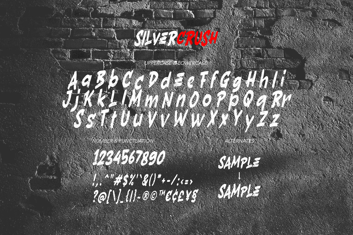 SILVERCRUSH Typeface, a Font by ikiiko (Photo 5 of 6)