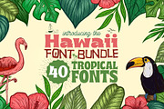 Hawaii Font Bundle - 71 Fonts!, a Serif Font by HipFonts (Thumbnail 1 of 19)