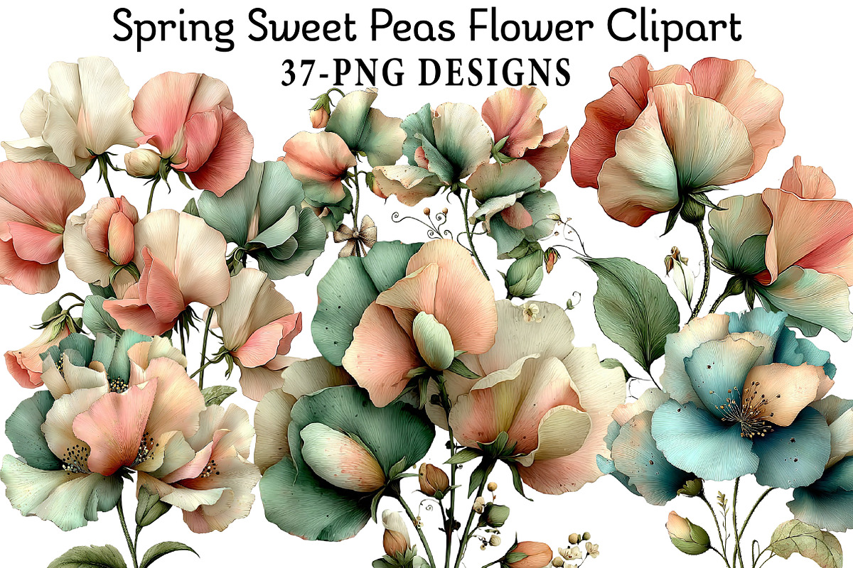 Spring Sweet Peas Flower Clipart, an Illustration by Daily.Designs (Photo 1 of 8)