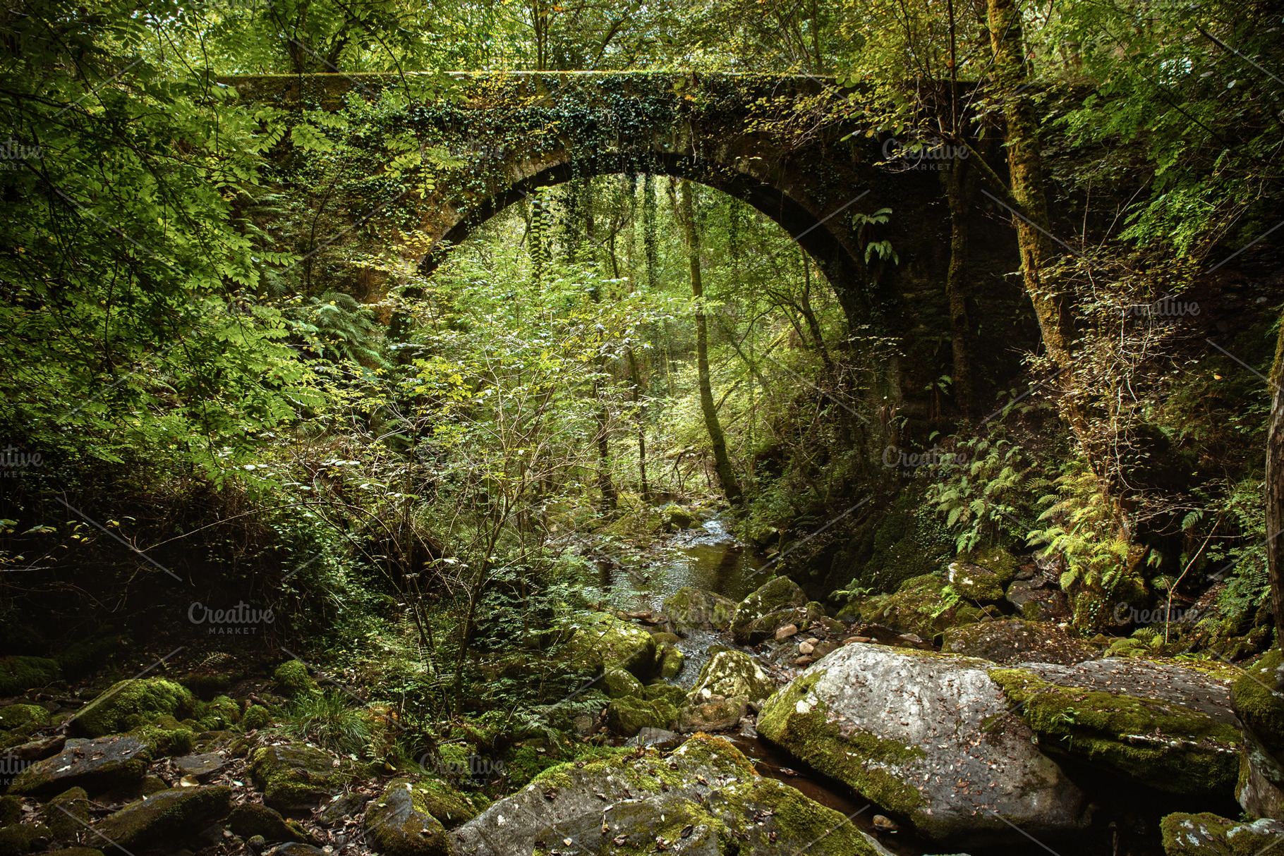 Moss-Covered Stone Bridge in a Lush, a Nature Photo by Perpis
