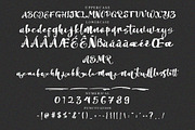 Mellanitta Brush Script Font, a Script Font by NTC Graphic (Thumbnail 8 of 9)