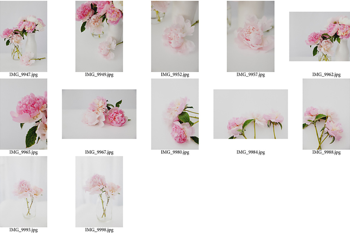 Peony Perfection Styled Stock, a Nature Photo by Susie Design Co (Photo 3 of 3)
