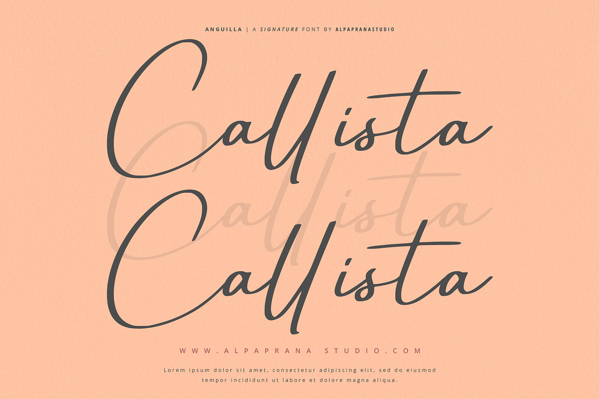 Anguilla - Signature Font, a Script Font by Alpaprana (Photo 9 of 13)