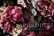 Aphrodite Floral Clip Art Collection, an Object Graphic by Eclectic Anthology (Thumbnail 10 of 13)