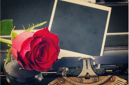 red rose on typewriter, an Arts & Entertainment Photo by Neirfy