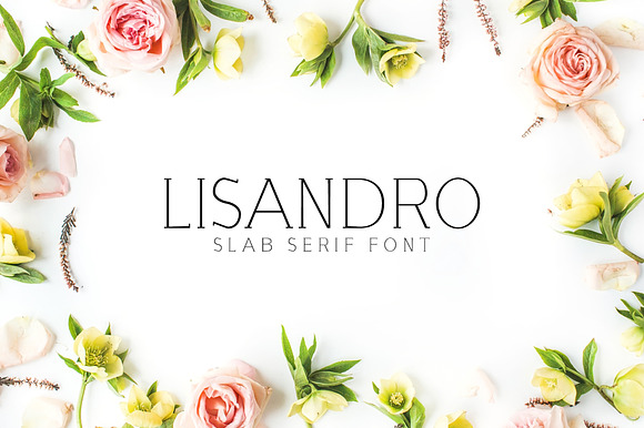 Lisandro Slab Serif Font preview 7
