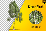 CUT OUT TREES - 60 PCS BUNDLE, a Packaging Mockup by 3DSTORE (Thumbnail 50 of 63)