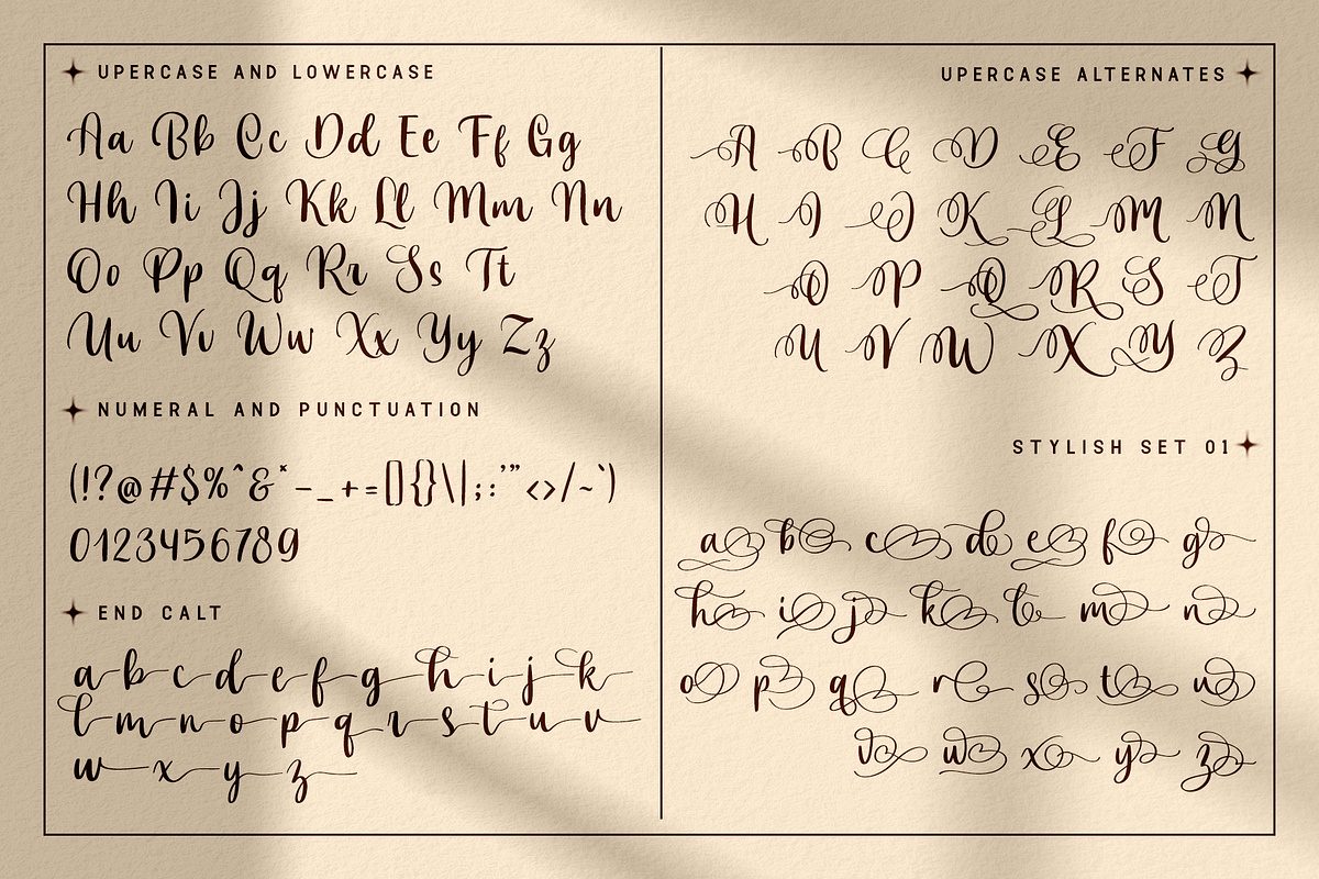 Celliya-Modern & Classy Script Font, a Script Font by overlaytemplates