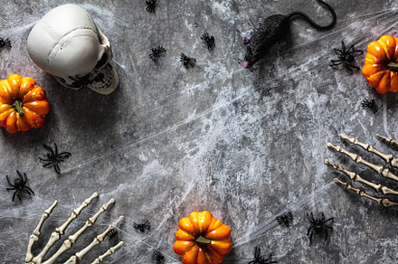 Scary and spooky Halloween flat lay composition with skull, black rat, spiders,, a Holiday Photo by photoguns