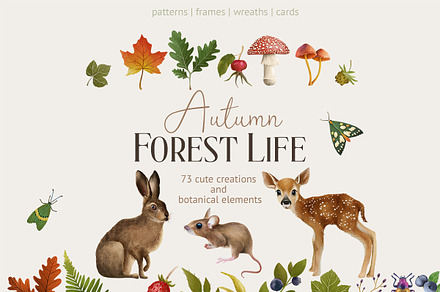 Autumn forest life