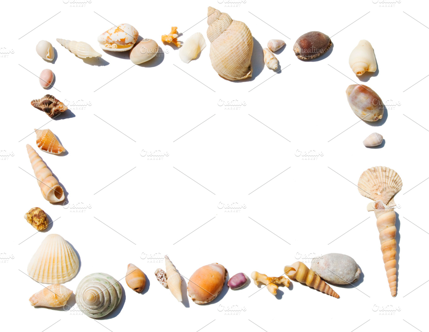 Frame with shells