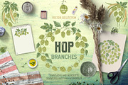 Hop branches. Vector collection, a Decorative Illustration by kateja (Thumbnail 1 of 4)