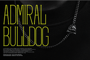 Krogad | Condensed Serif, a Serif Font by gracetype_studio (Thumbnail 9 of 12)