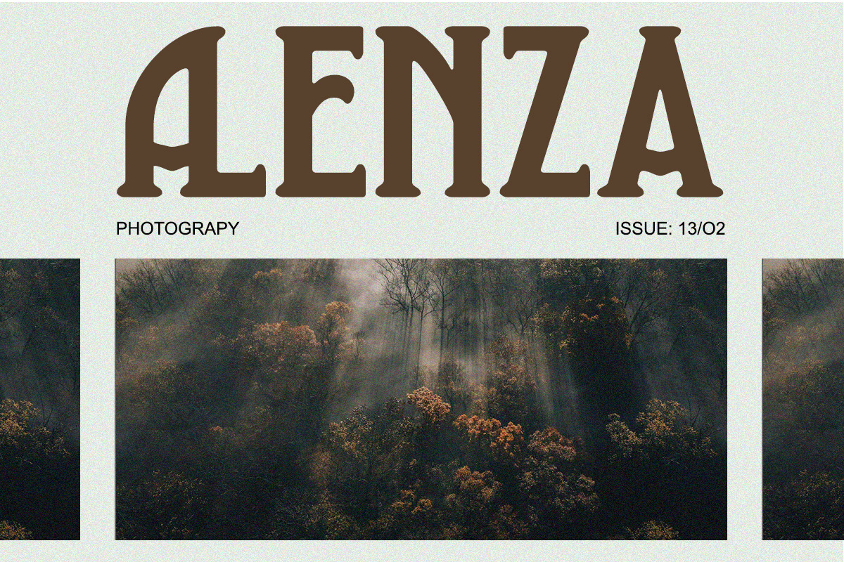 Heartfield - Vintage Condensed, a Serif Font by Qweera Studio (Photo 7 of 12)