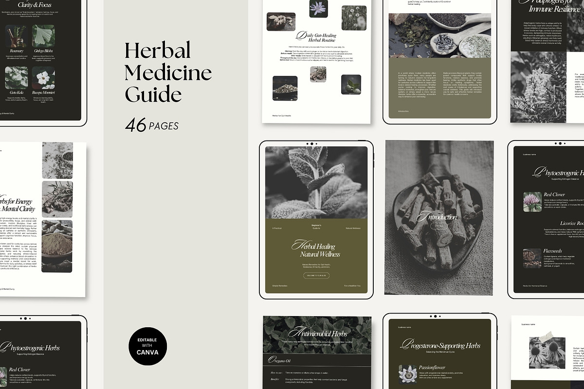 Herbal Medicine Ebook Template, a Magazine Template by Terraa Studio Design (Photo 1 of 9)