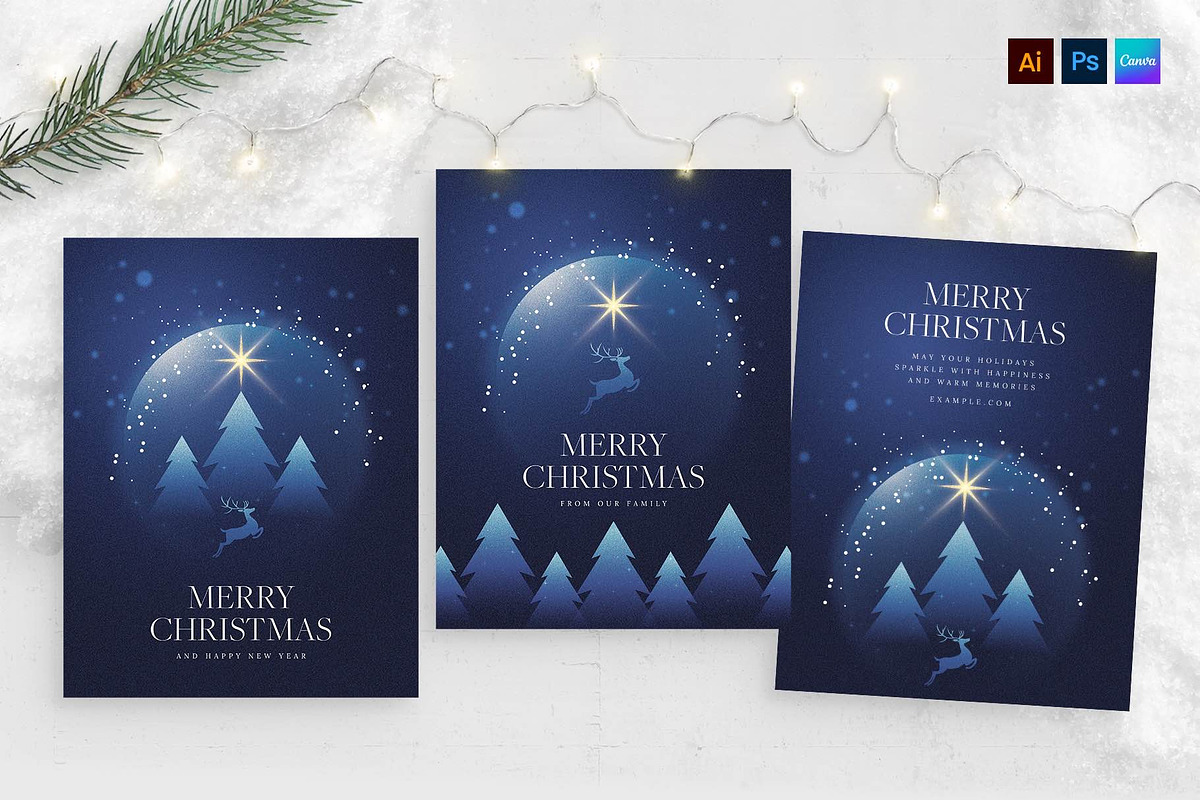 Winter Christmas Flyer Template preview 5