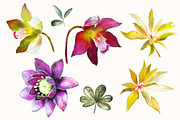 Tropical collection. Summer design., a Decorative Illustration by Lisima (Thumbnail 2 of 19)